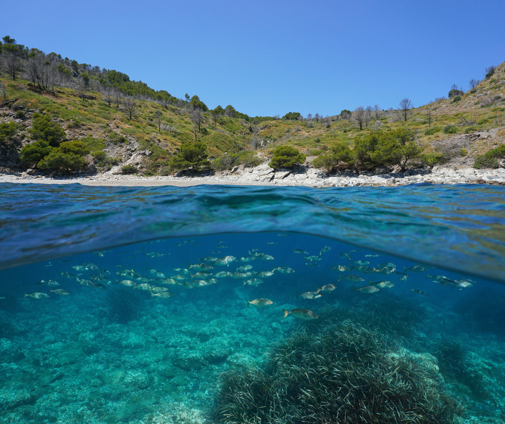 Chorwacja, snorkeling