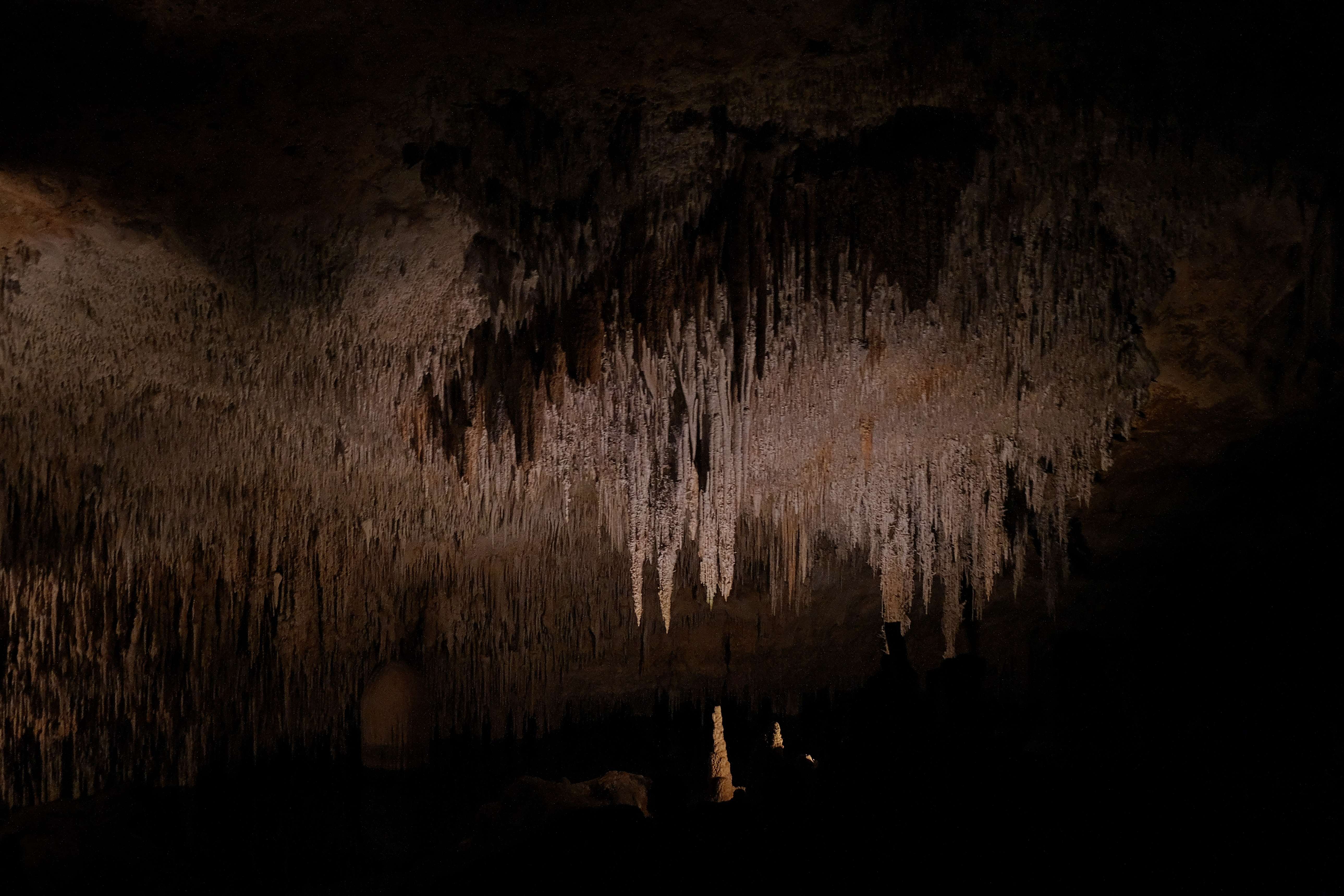 Cuevas del Drach