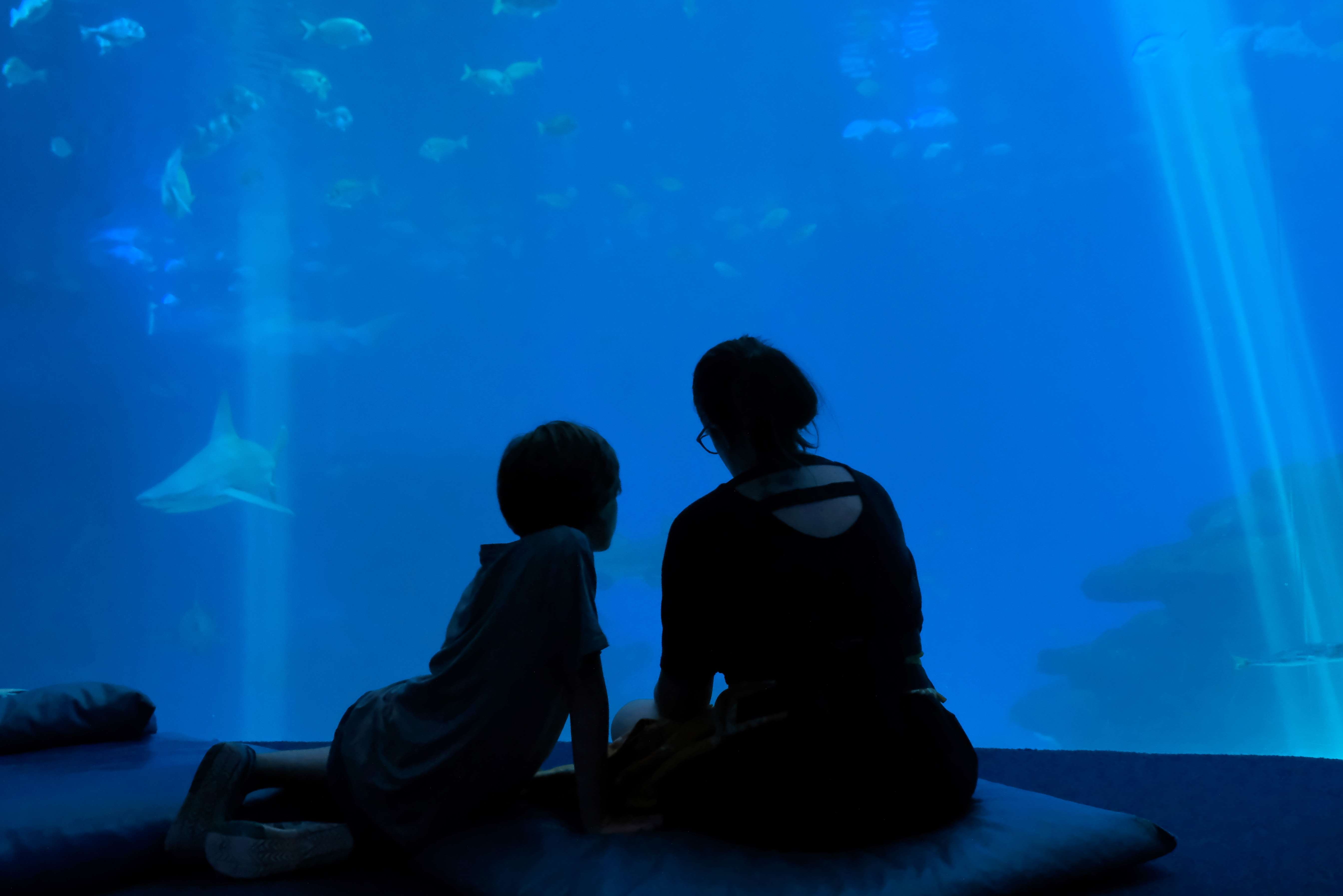 Palma Aquarium