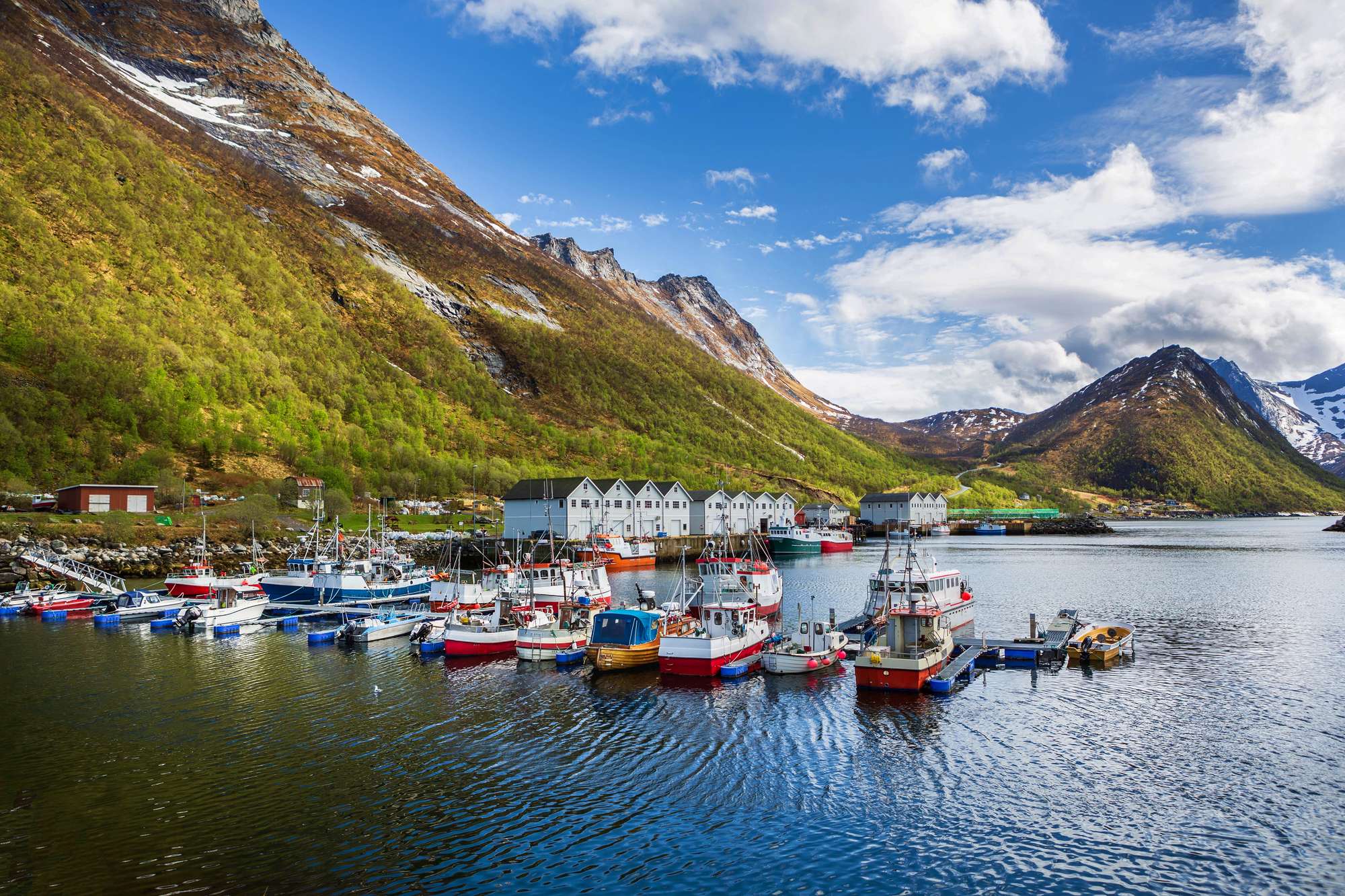 Hamm Senja