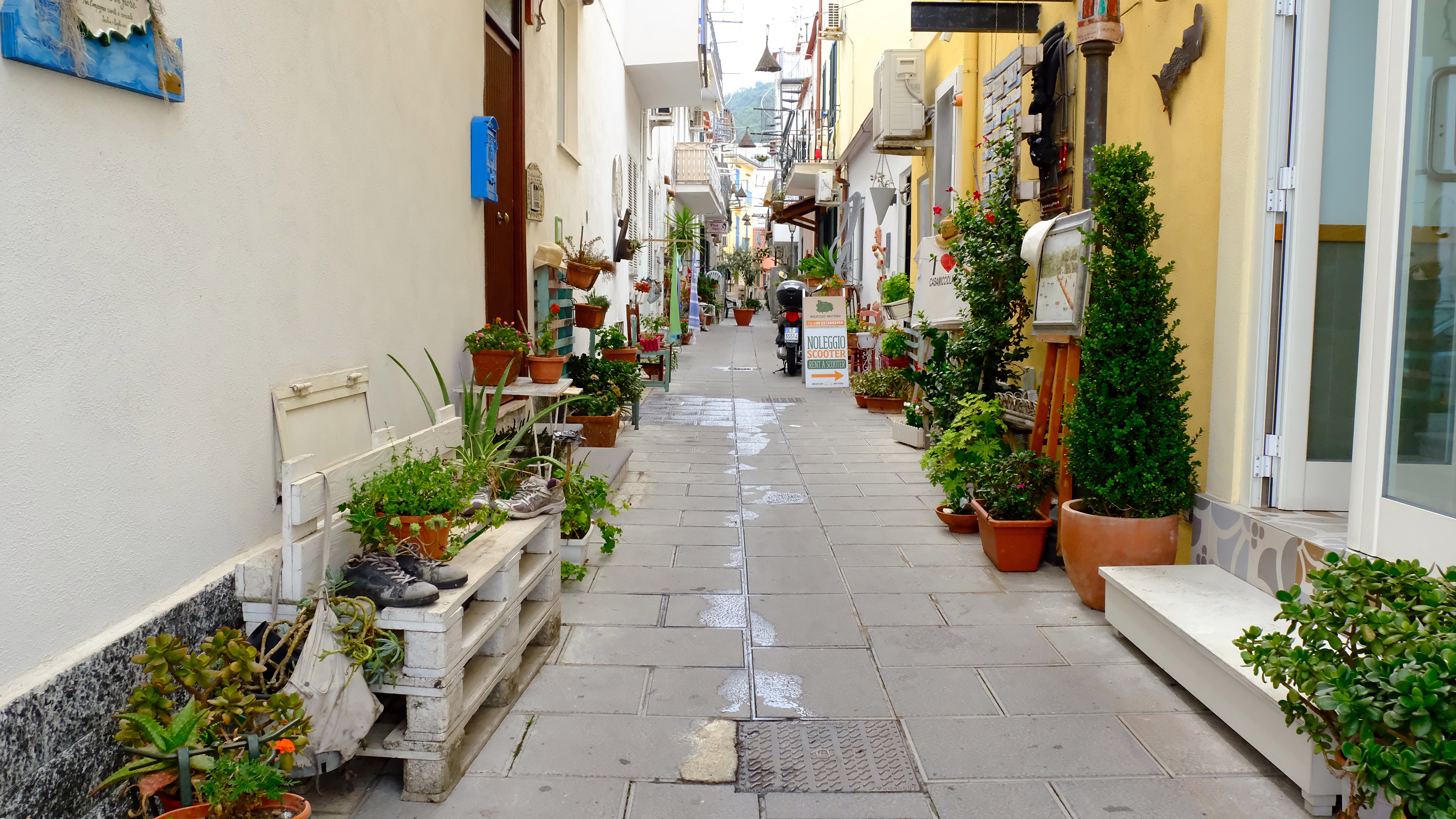 Ischia, casamiciolla terme