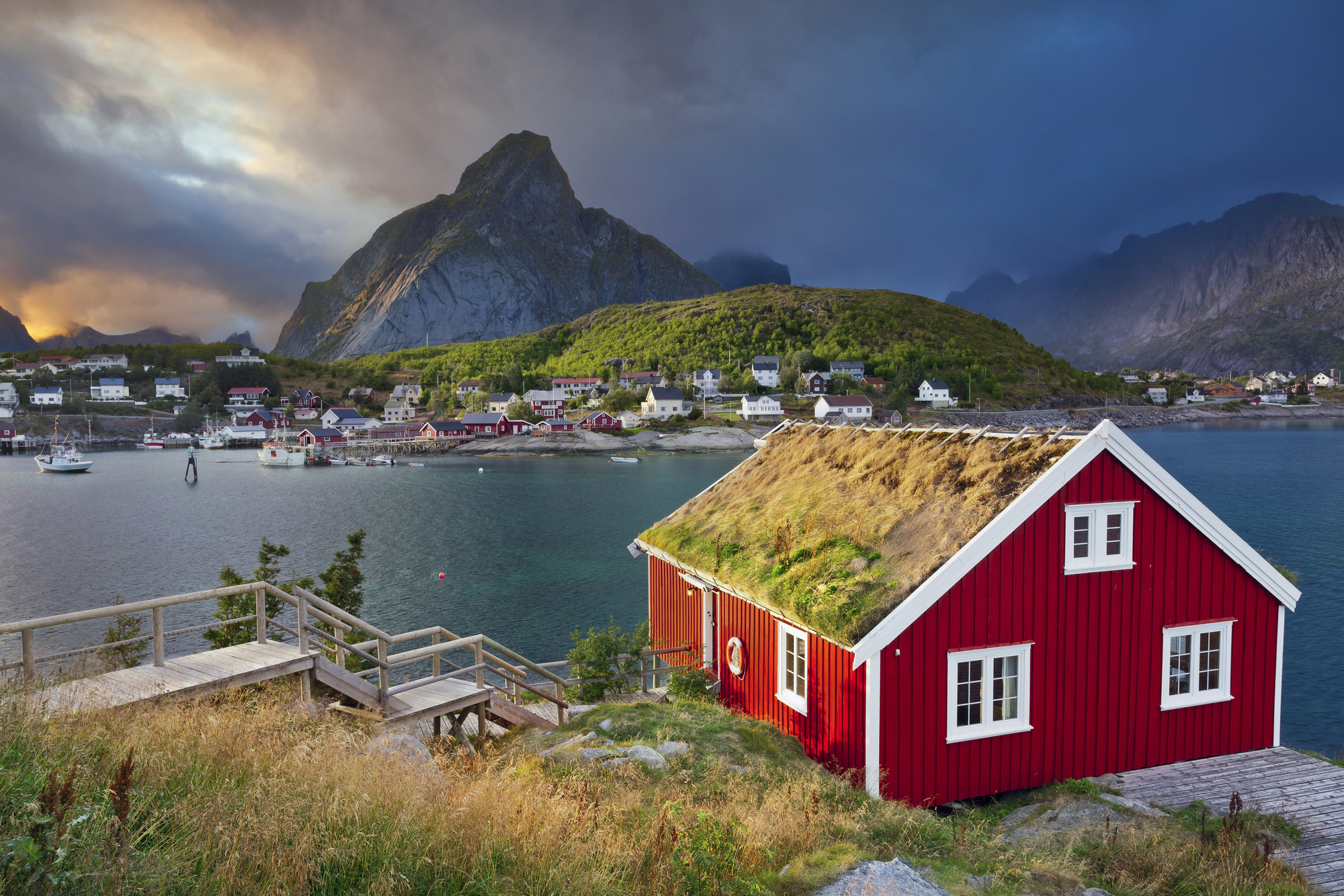 Reine
