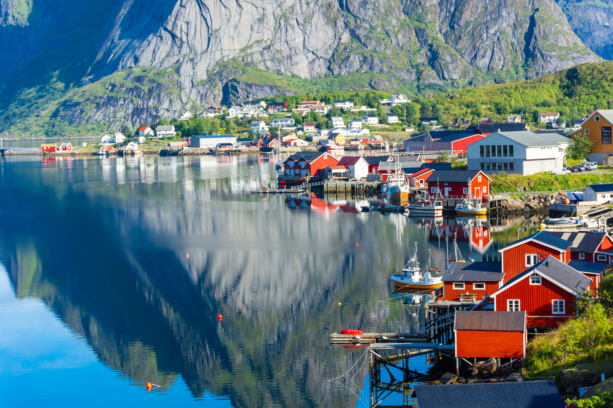 Reine