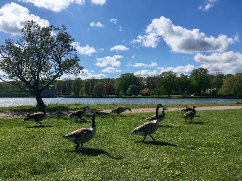 Wiosenny Bałtyk - czyli tym, jak na rejsie było.
