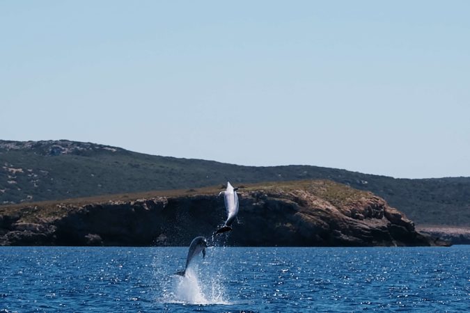 Palma – Cabrera – Porto Cristo – Soler – Andratx – Palma