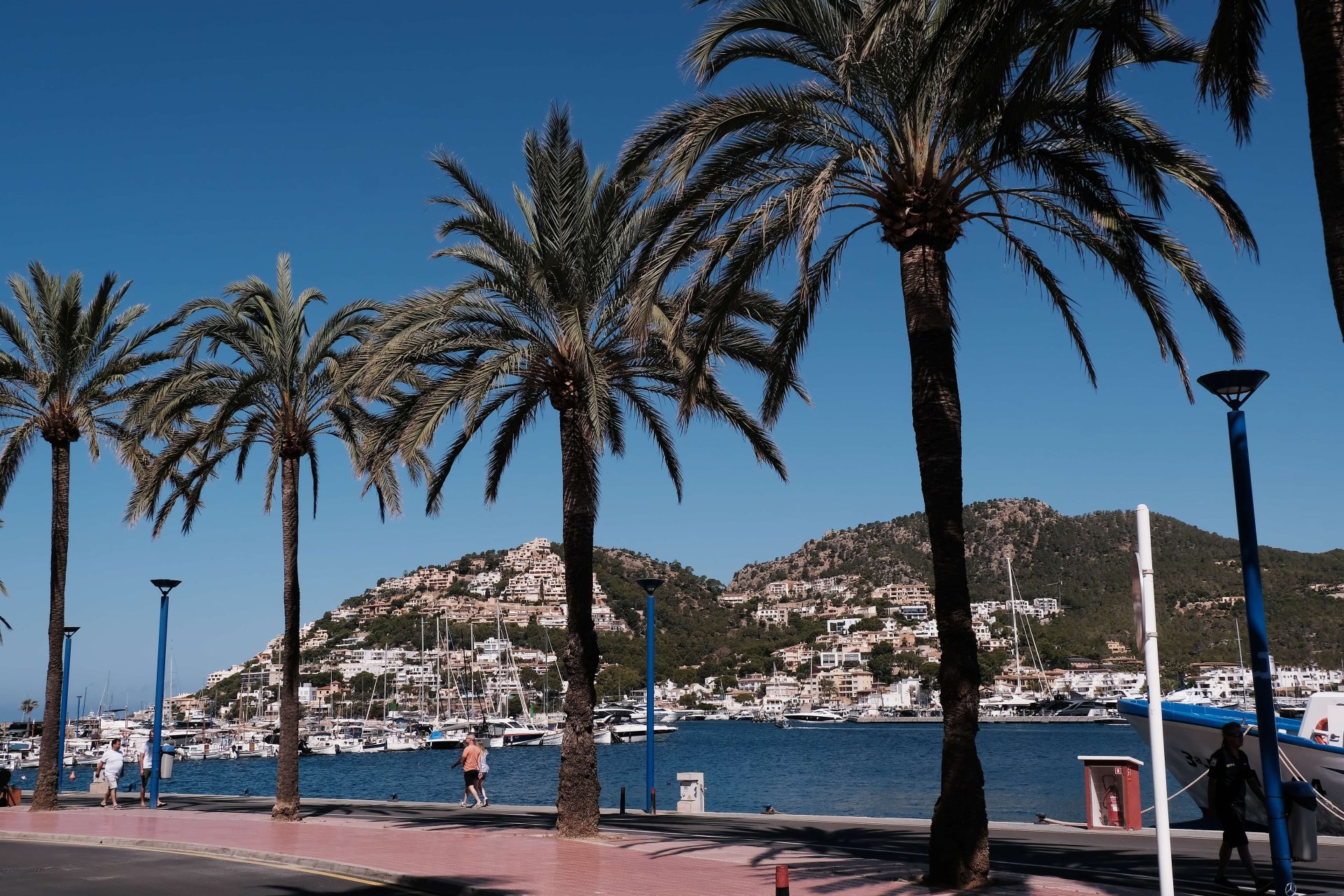 Palma – Cabrera – Porto Cristo – Soler – Andratx – Palma